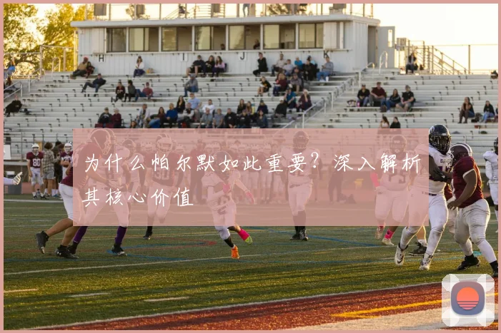 为什么帕尔默如此重要?深入解析其核心价值
