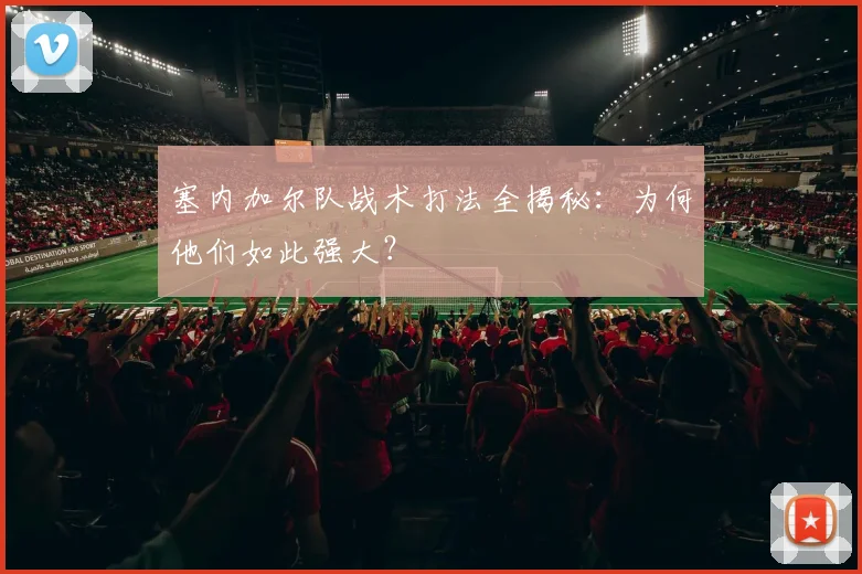 塞内加尔队战术打法全揭秘:为何他们如此强大?