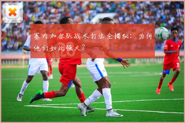塞内加尔队战术打法全揭秘:为何他们如此强大?